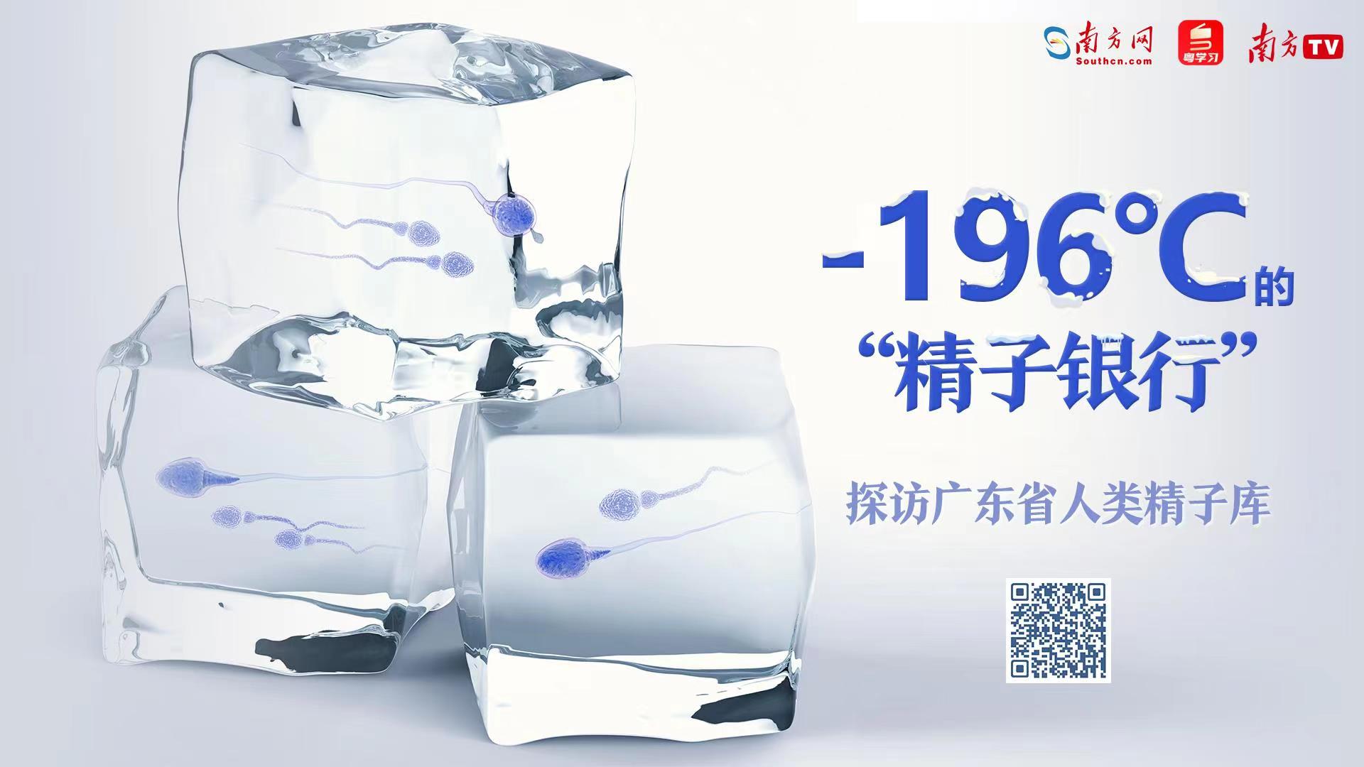 單身女性可以(yǐ)申請精子(zǐ)庫精子(zǐ)嗎？捐精有沒有補貼？來(lái)聽專家權威解讀